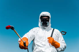 Best Residential Pest Control  in Clintondale, NY